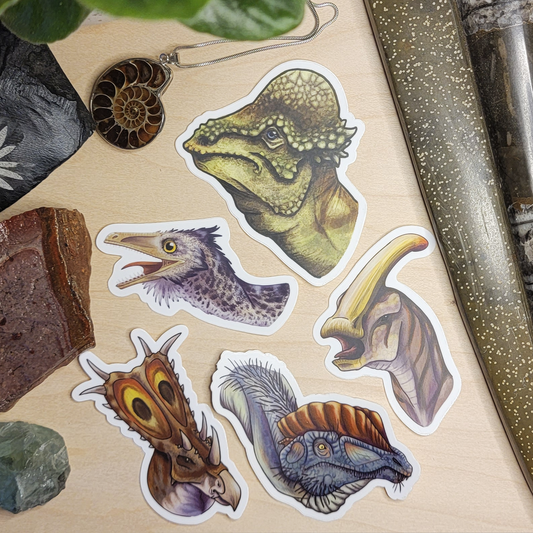 Dinosaur Sticker Pack