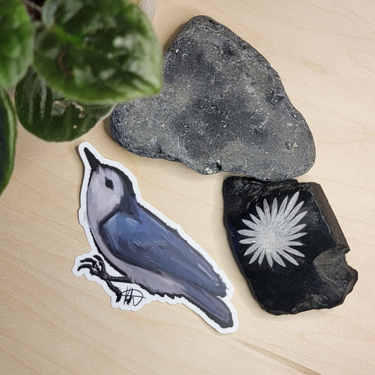 White Breasted Nuthatch Sticker