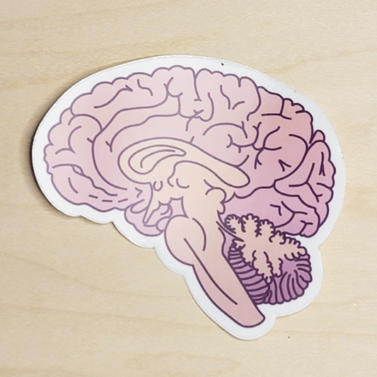 Big Brain Sticker
