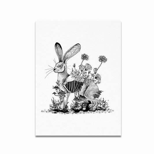 Black-Tailed Jack Rabbit Decay Print