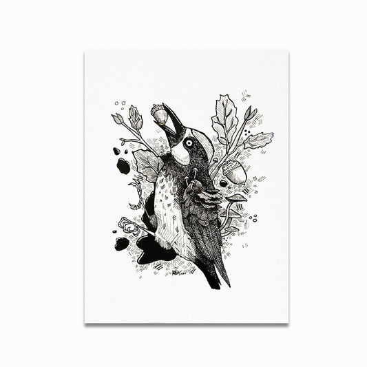 "Resourceful" Acorn Woodpecker Decay Print