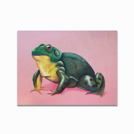 North American Bullfrog Print