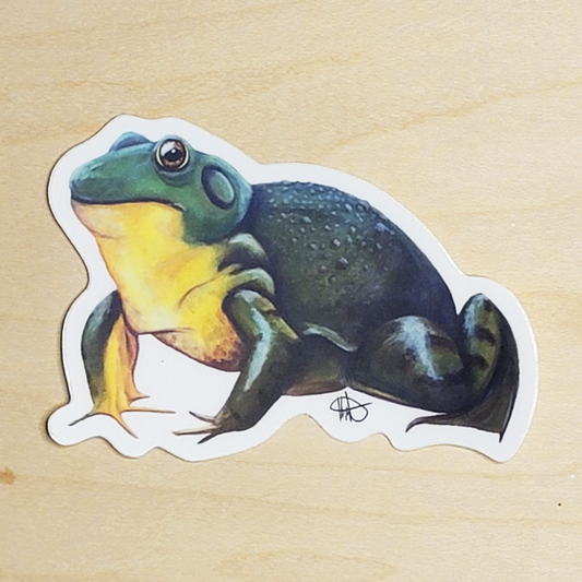 North American Bullfrog Sticker