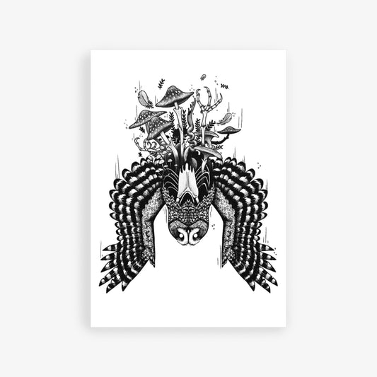 Spotted Owl Decay Print