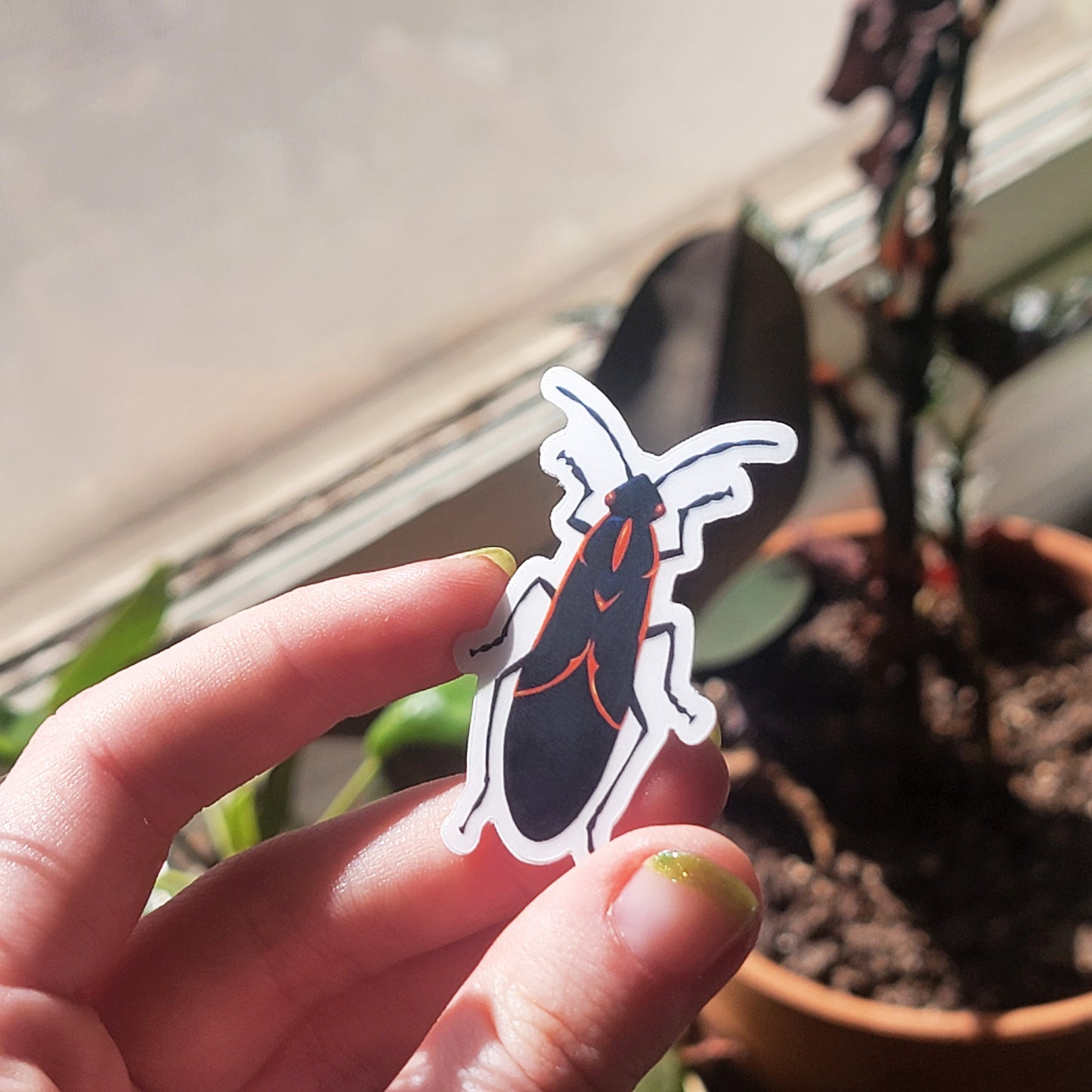 Box Elder Bug Sticker