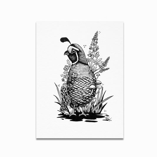 California Quail Decay Print