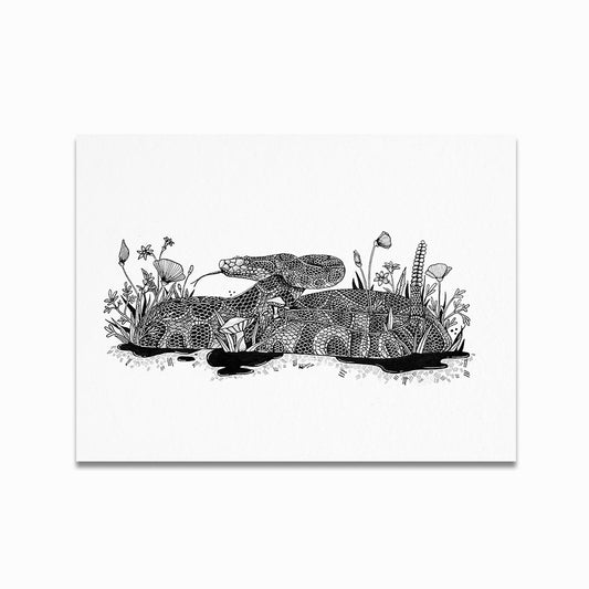 "Silence" Rattlesnake Decay Print