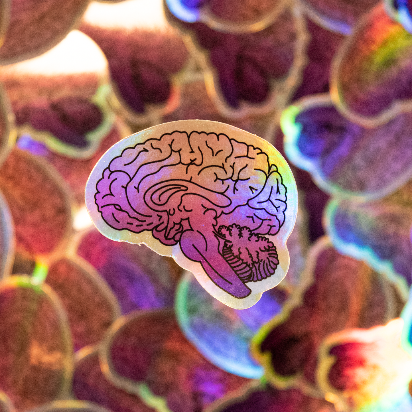 Holographic Brain Sticker